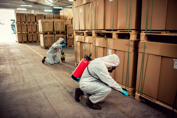 Best Wasp Removal Services  in Charlevoix, MI