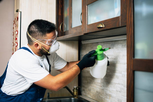 Best Ant Control Services  in Charlevoix, MI