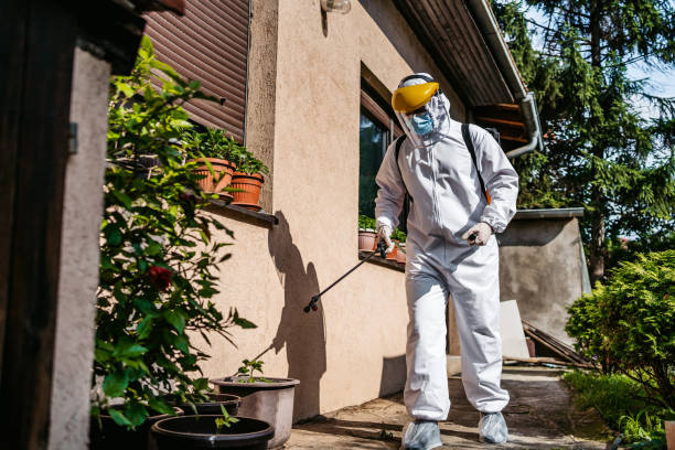 Best Affordable Pest Control Services  in Charlevoix, MI