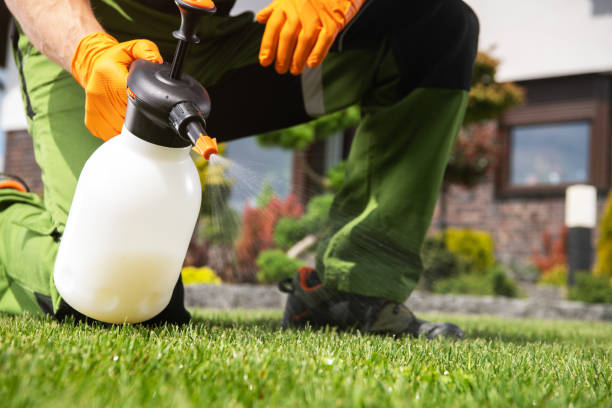 Wasp Removal Services in Charlevoix, MI