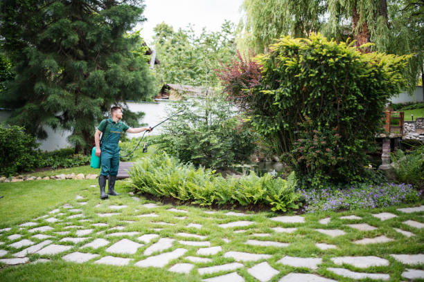 Best Ant Control Services  in Charlevoix, MI