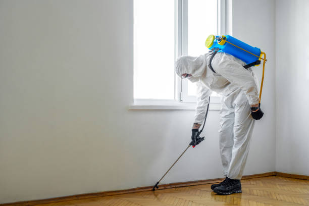 Reliable Charlevoix, MI Pest Control Solutions