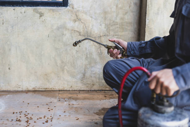 Best Termite Control Services  in Charlevoix, MI